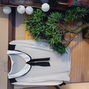 Sheer White Preppy Blouse